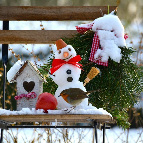 Winterfest / Samentauschbörse